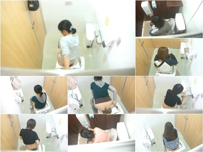 Hi-Vision Japanese toilet style – 15260455